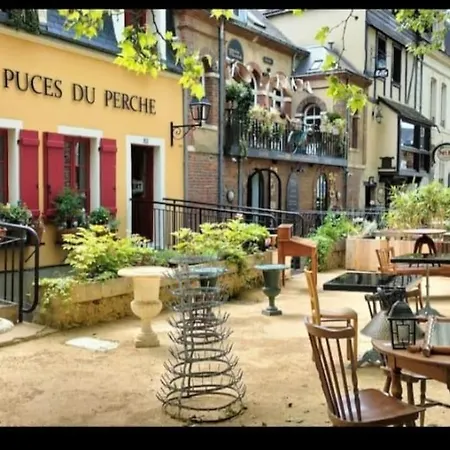 Meuble En Sous-sol En Plein Centre Apartment